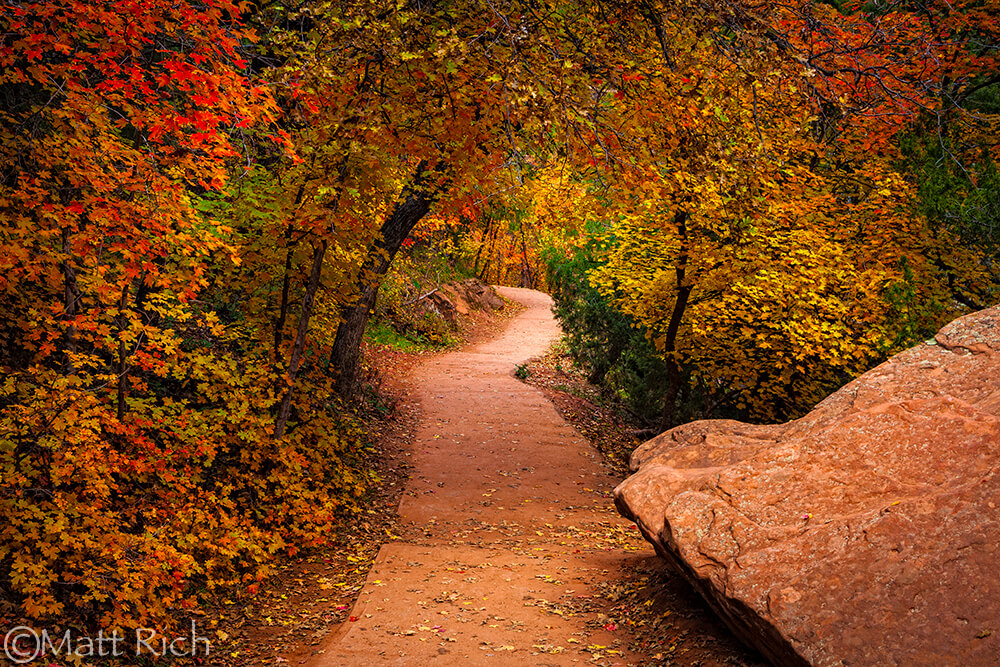 Autumn's Path